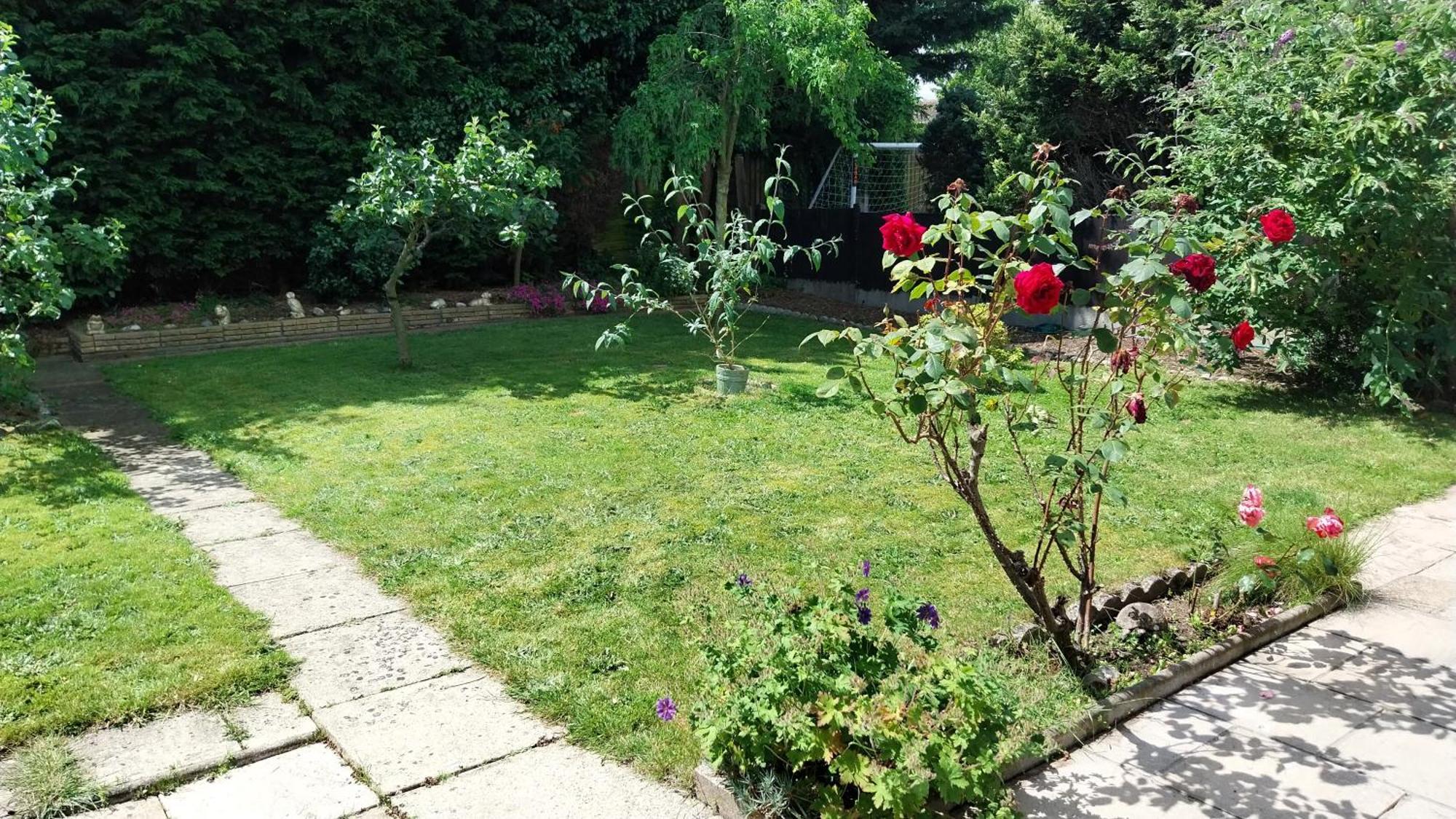 Beautiful 3-Bed Bungalow Kessingland Rural Retreat Lowestoft Buitenkant foto
